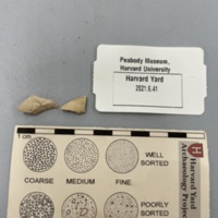 Pipebowl Fragments.jpg