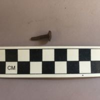 Here we can see the remnant of a small, used rose-head nail, bent out of shape from being pounded into the hard, native woods of New England.