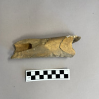 Screenshot 2026-03-21 at 8.52.35 PM.png