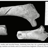 Screenshot 2026-02-26 at 6.09.57 PM.png