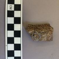 Bellarmine (Bartmann) Sherd