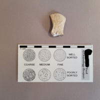 Brown transferprint ceramic sherd (back of design). Because a chunk is missing from this part of the sherd, it can be difficult to determine exact form or use of the vessel.