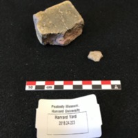 Screen Shot 2019-04-25 at 8.47.14 PM.png