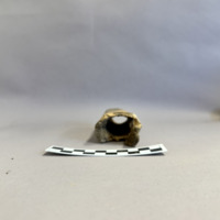 Screenshot 2026-03-21 at 8.52.30 PM.png