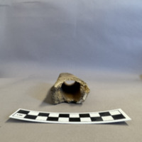 Screenshot 2026-02-26 at 5.54.53 PM.png