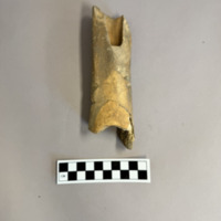 Screenshot 2026-03-21 at 8.52.25 PM.png