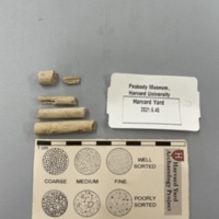 5 Pipe Stem Fragments.jpg