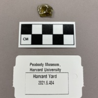 Brown Vessel Glass.jpg