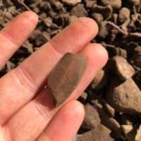 Red clay pipe bowl from H968.