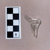 Glass Stemware Fragment
