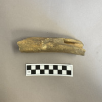 Screenshot 2026-02-26 at 6.13.52 PM.png