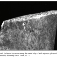 Screenshot 2026-02-26 at 6.10.34 PM.png