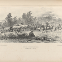 A Russian Military Convoy Halts