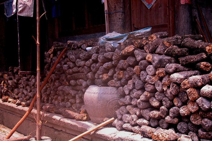 Left side view of the back hall with upper storey windows and mushroom growing logs in foreground-1