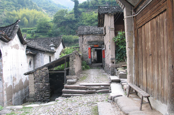 gate with roosters and a local woman