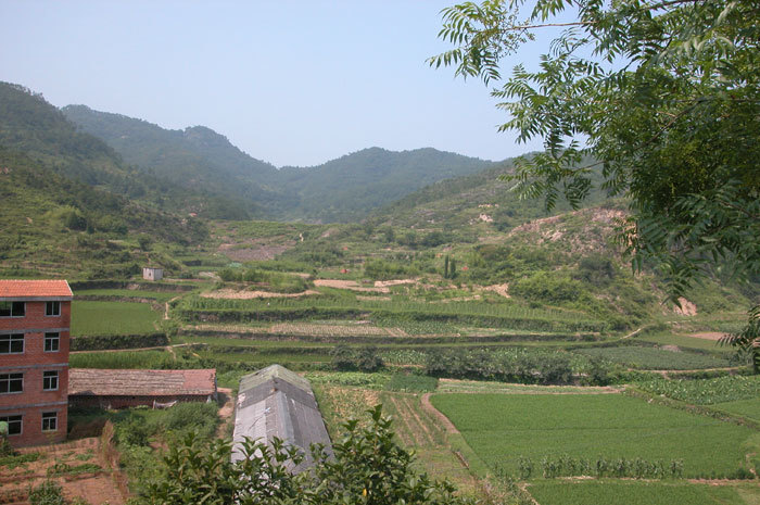 Southwest view down to vegetable gardens, former location of temple.