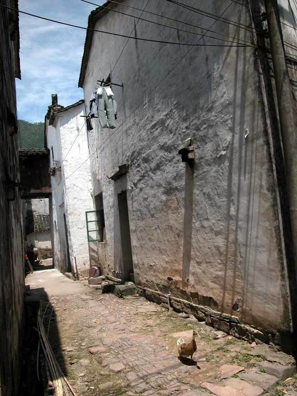 Street scene15 Street scene15