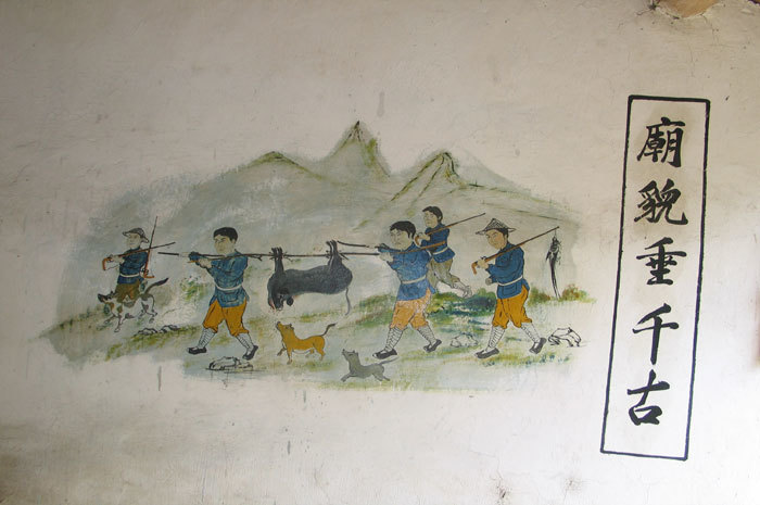 007984.jpg 007984.jpg