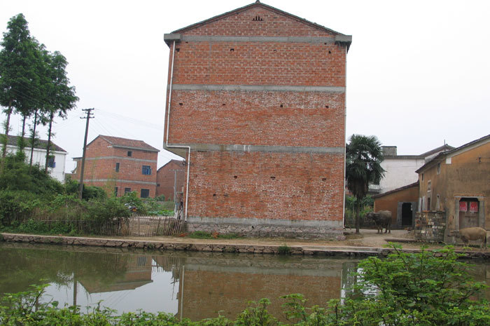 Back view-1 Back view-1