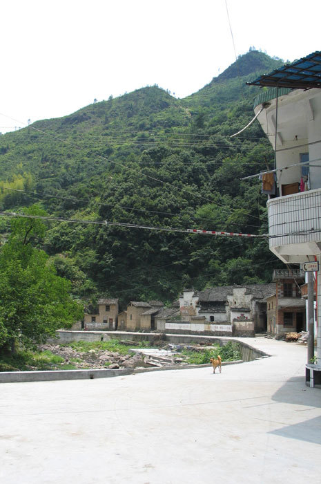 cluster of buildings