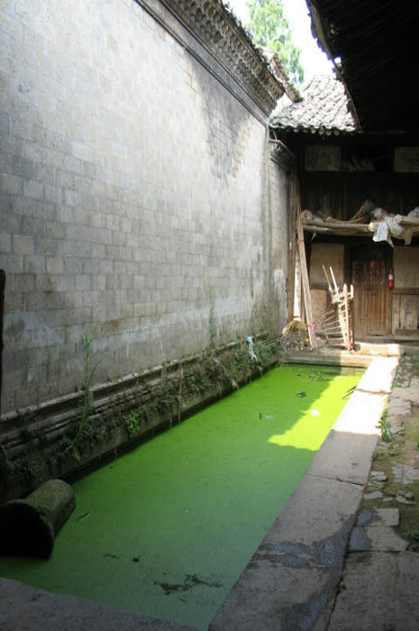 Overview of the front courtyard from right corner Overview of the front courtyard from right corner