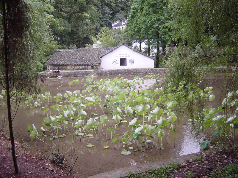 Overview of the Watermouth