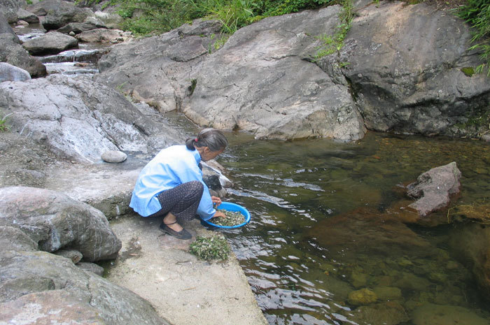 woman washing greens in the river