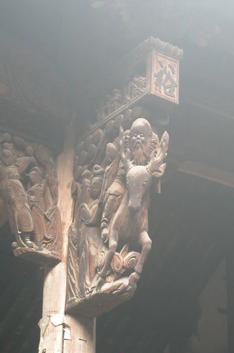 close up of bracket of man on deer