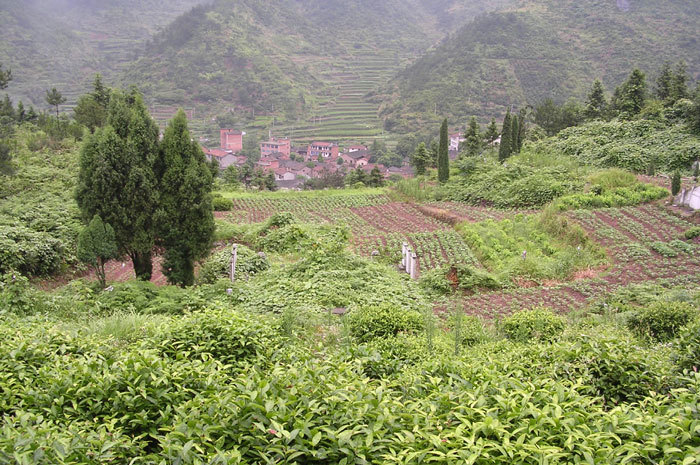 View of tomb from above