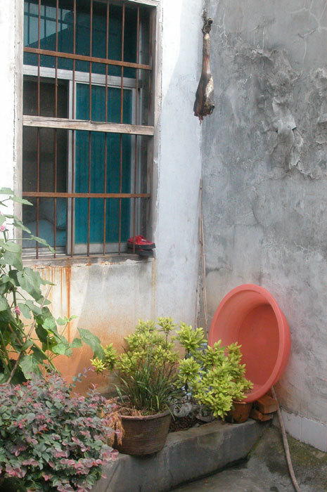 Cornor of the courtyard