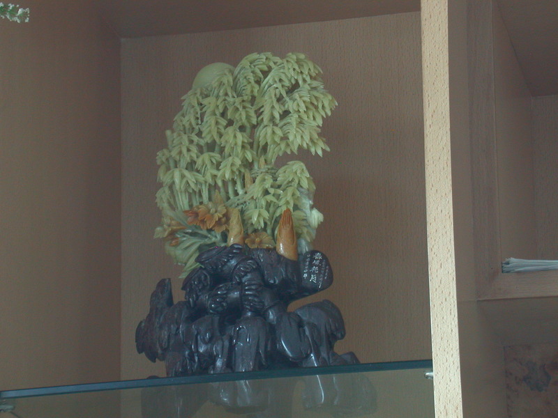 DSCN6628.JPG DSCN6628.JPG