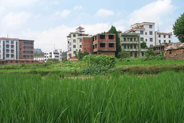 View from field (N-S)