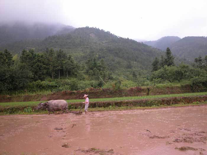 003458.jpg 003458.jpg