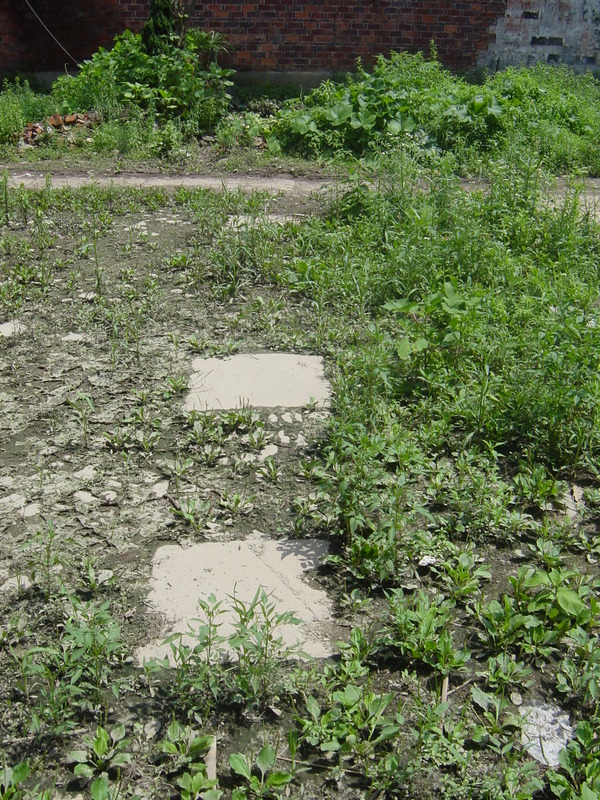 Column bases of old building #7 Column bases of old building #7