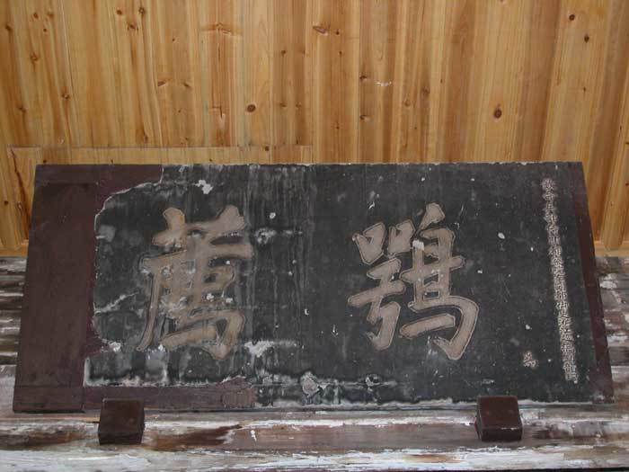 003979.jpg 003979.jpg