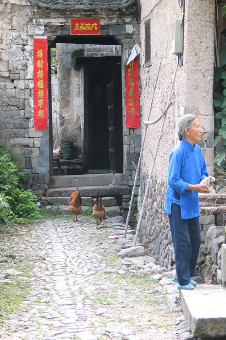 gate with roosters and a local woman2