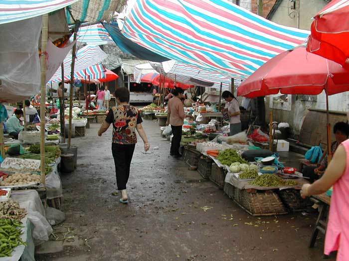 003628.jpg 003628.jpg