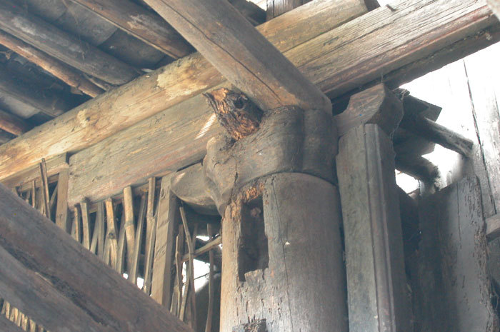 006869.jpg 006869.jpg