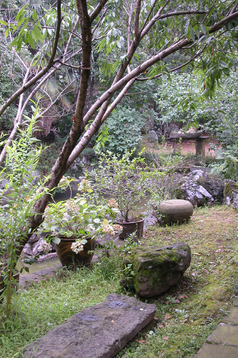 View of the pond from far left end of the garden View of the pond from far left end of the garden