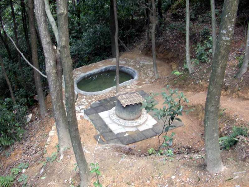 Overview of Precious Spring