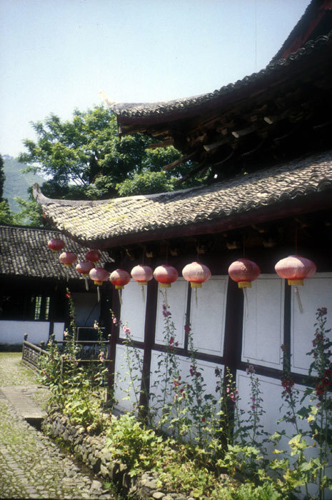 008136.jpg 008136.jpg