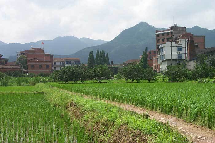 View from fields (W-E)