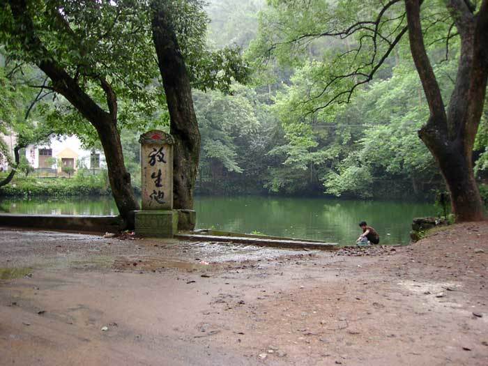 003609.jpg 003609.jpg