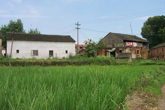 View from fields (E-W)