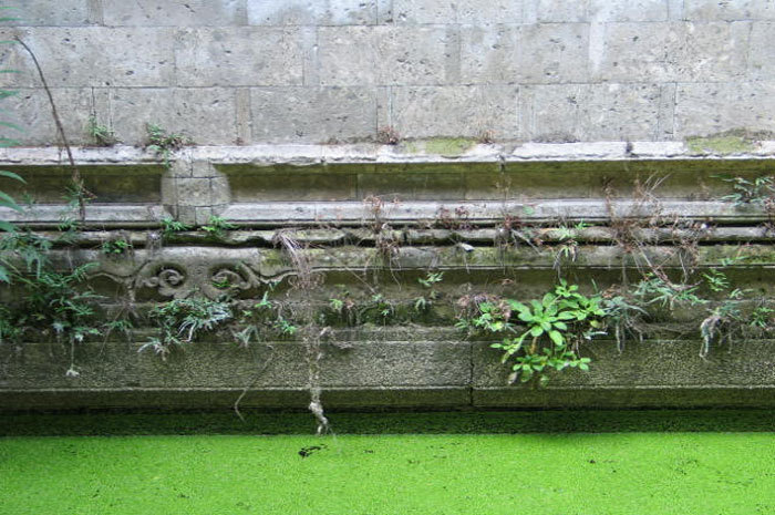 Detail of scrollwork on wal Detail of scrollwork on wal