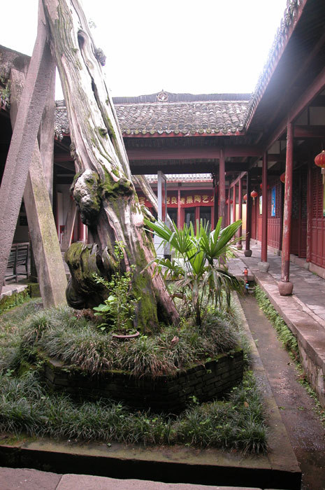 Overview of the courtyard Overview of the courtyard