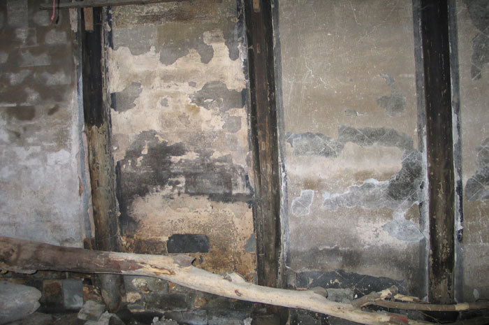 005556.jpg 005556.jpg