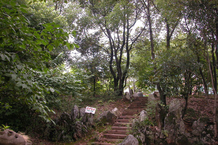 View of the bell View of the bell