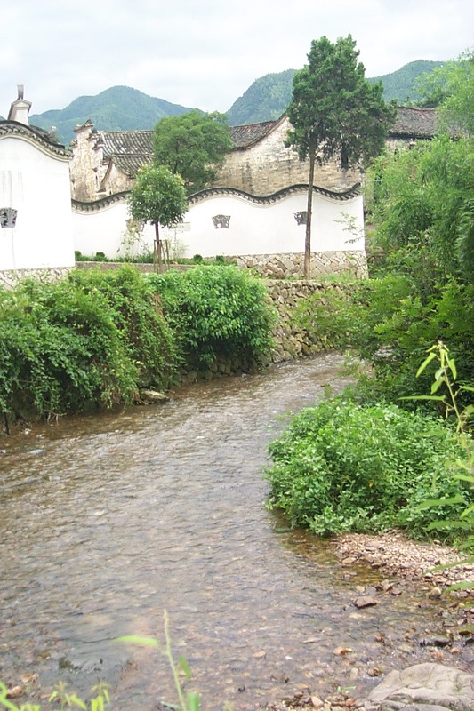 Overview of the path