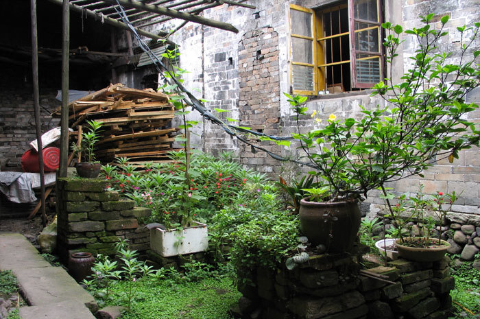 006454.jpg 006454.jpg